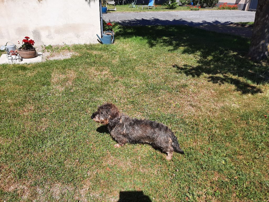 Noisette du domaine de la Grosse Croix